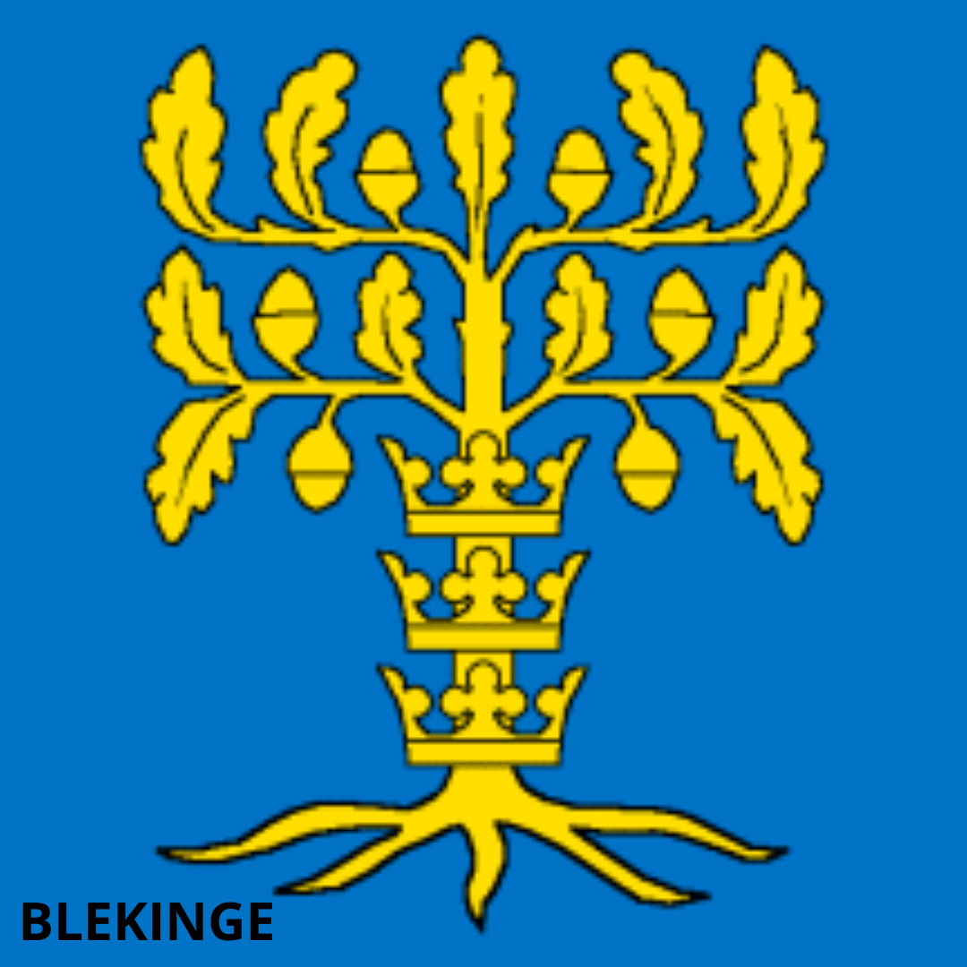 Flagga - Landskapsvapen