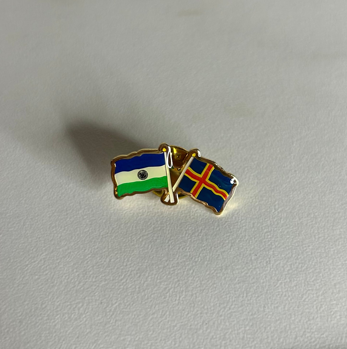 Pin Jamtland + vän