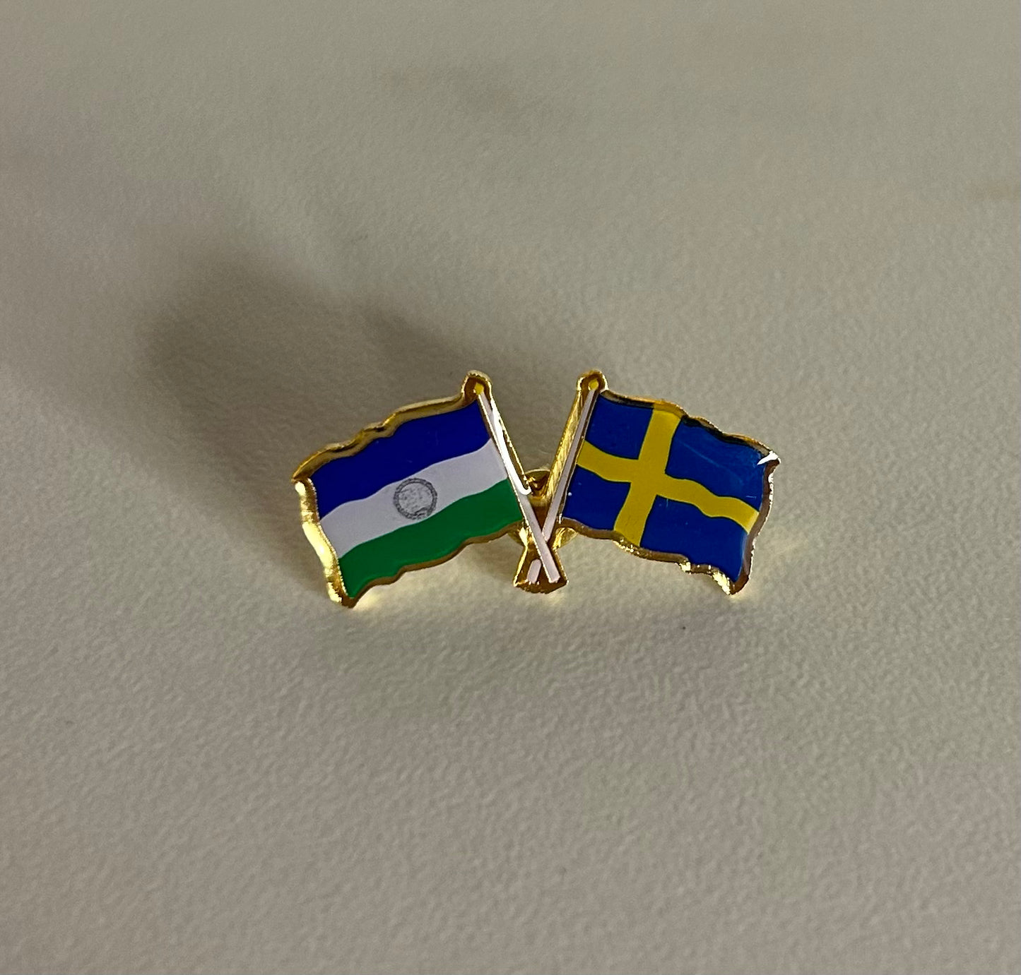 Pin Jamtland + vän