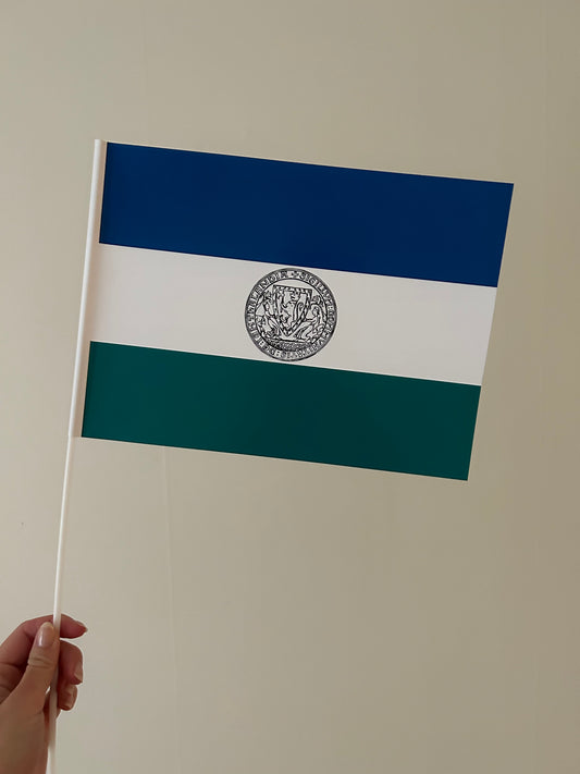 Pappersflagga Jamtland - 10-pack